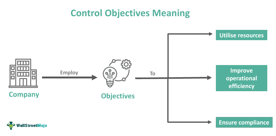 Control Objectives