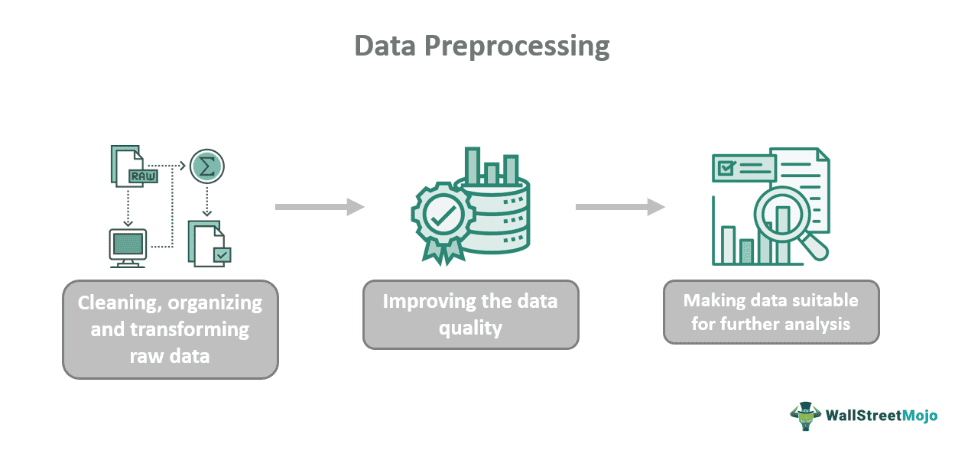 Data Preprocessing