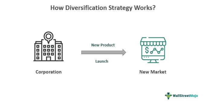Diversification Strategy