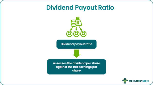 Dividend Payout Ratio