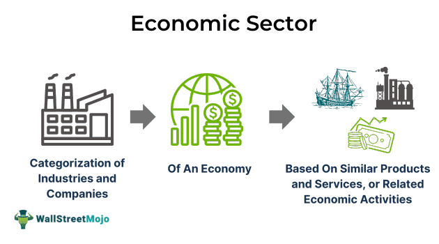 Economic Sector – Definition, Examples, Types, Role