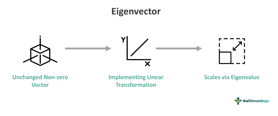 Eigenvector