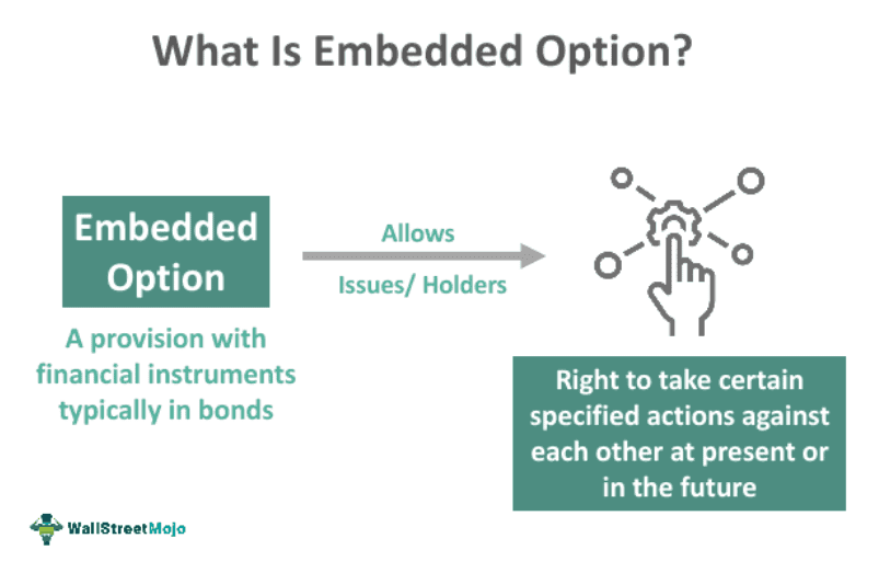 Embedded Option