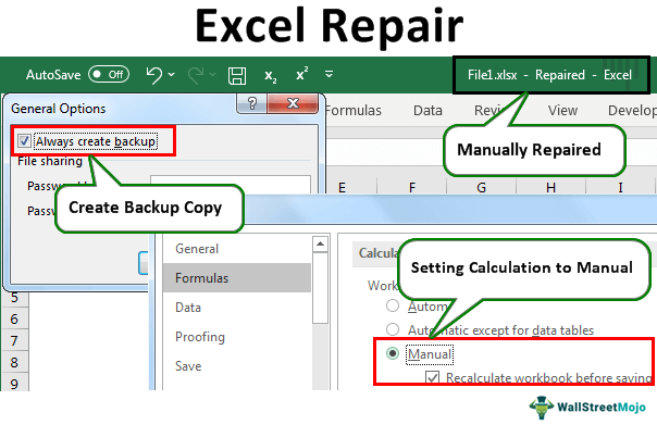 Excel Repair Files
