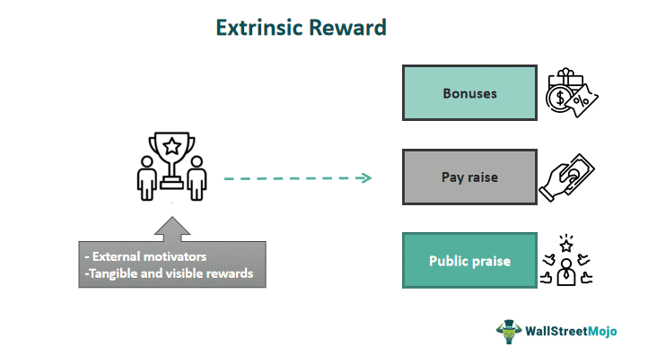 Extrinsic Reward