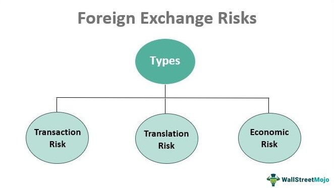 Foreign Exchange Risks