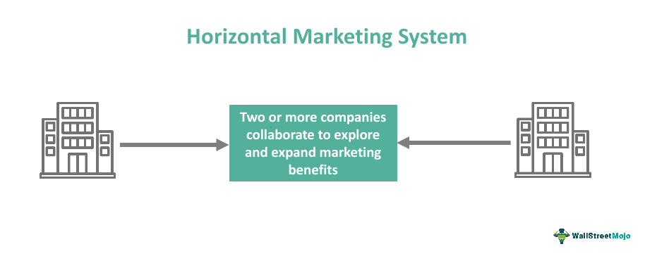 Horizontal Marketing System