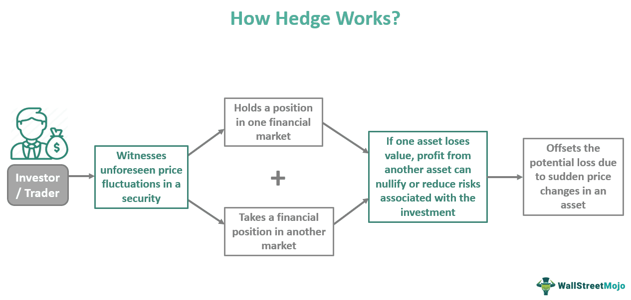 Hedge