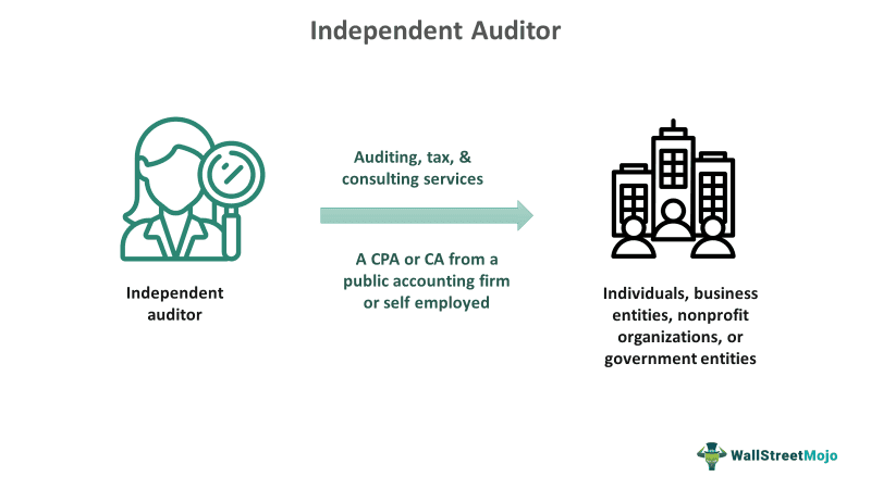 Independent Auditor