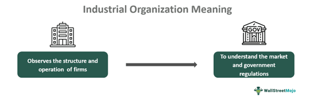 Industrial Organization