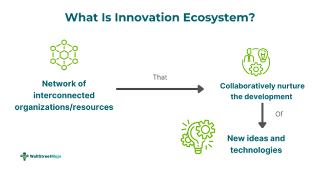 Innovation Ecosystem