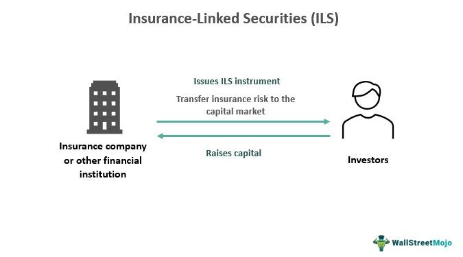 Insurance-Linked Securities