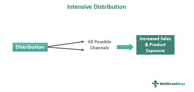 Intensive Distribution
