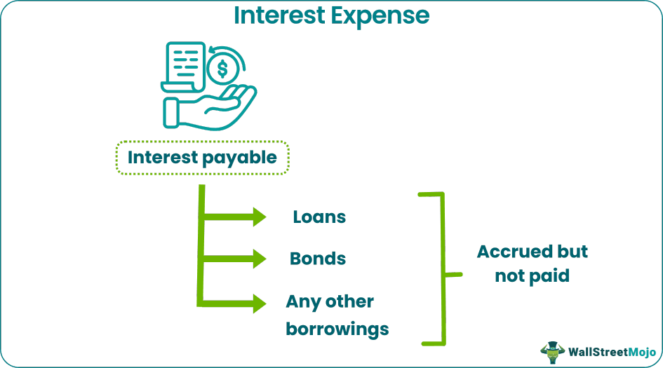 Interest Expense