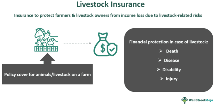 Livestock Insurance
