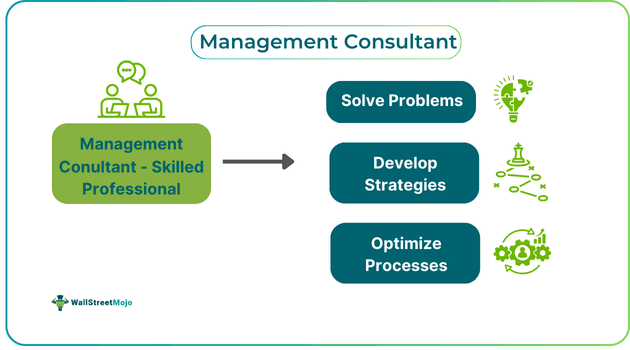 Management Consultant