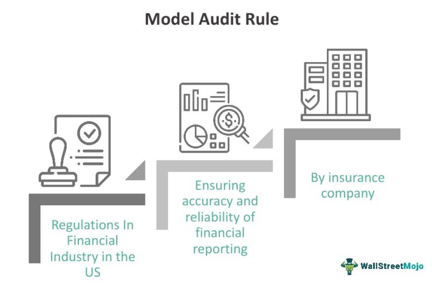 Model Audit Rule