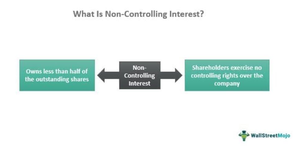 Non-Controlling Interest