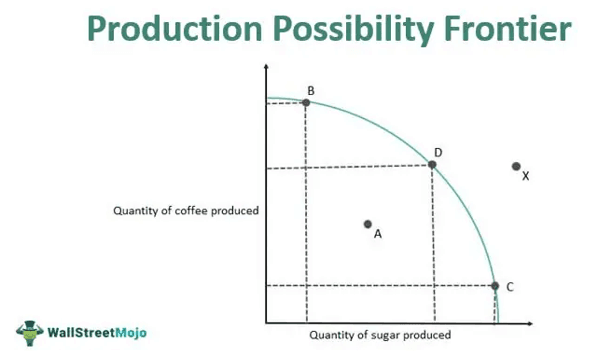 Productive Efficiency