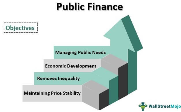 Public Finance