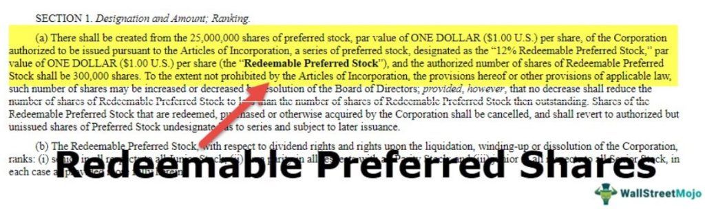 Redeemable Preference Shares