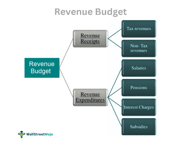 Revenue Budget