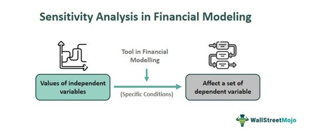 Sensitivity Analysis in Financial Modeling