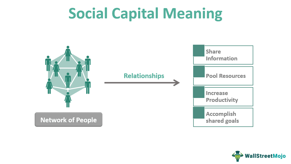 Social Capital