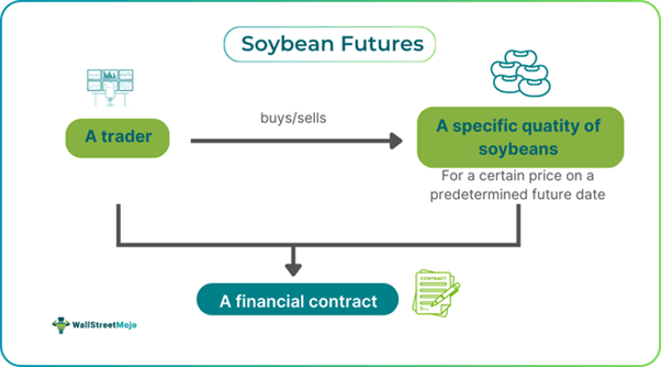 Soybean Futures
