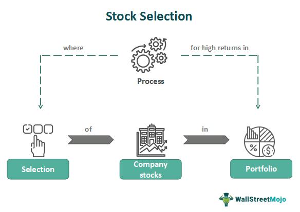 Stock Selection