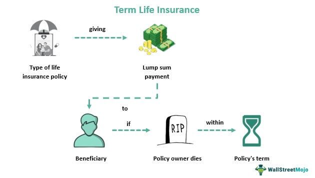 Term Life Insurance