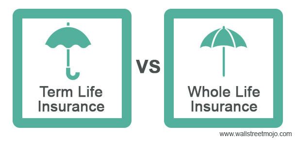Term Life vs Whole Life Insurance