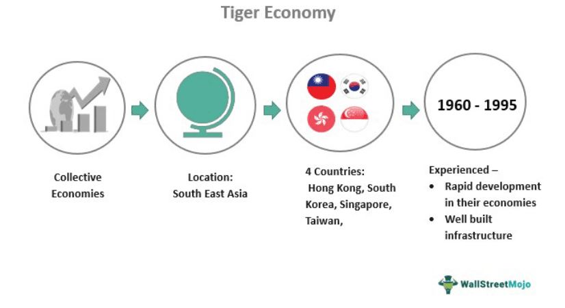 Tiger Economy