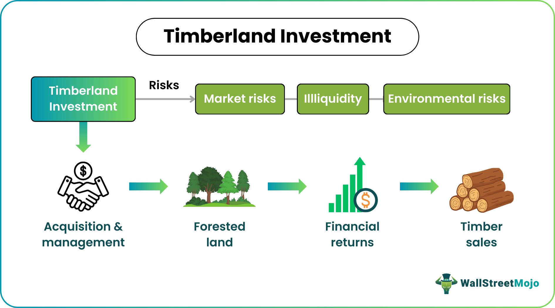 Timberland investment