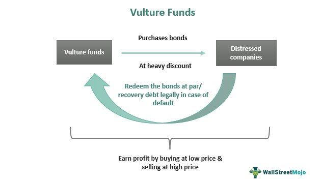 Vulture Funds