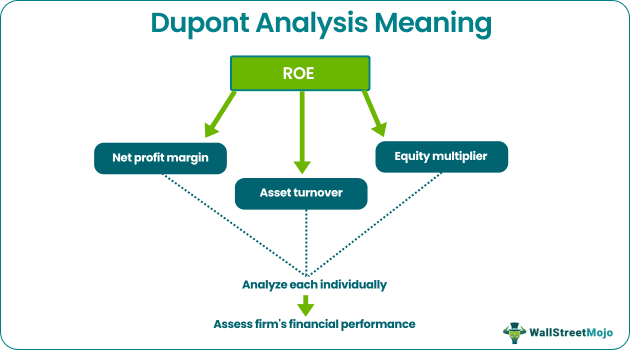 Dupont Analysis