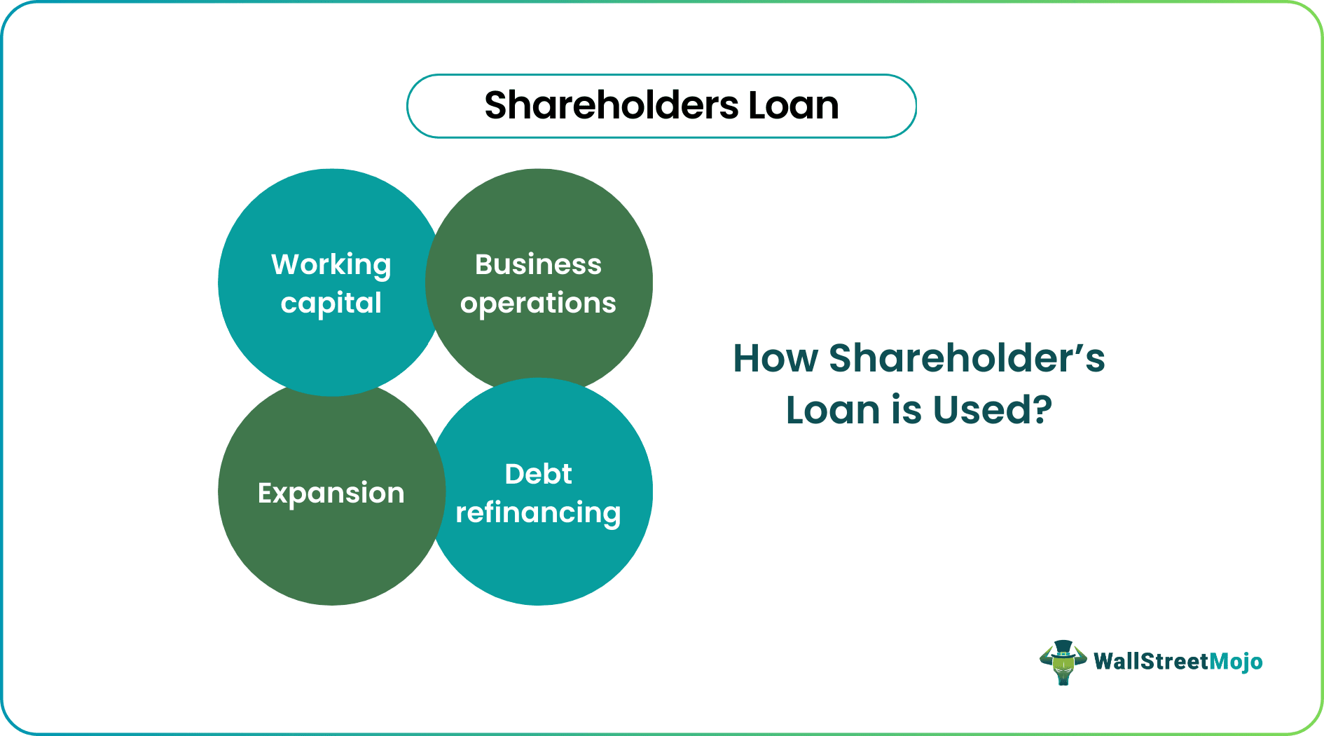 shareholders loan