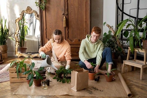 sustainable wood materials for interior design